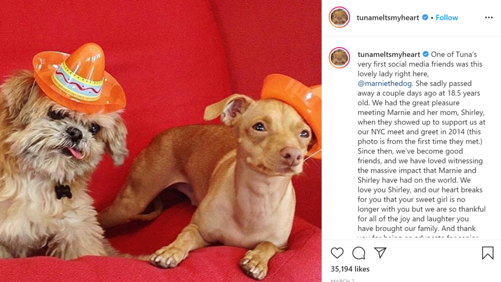 Tuna and Marnie — both with millions of followers — met in 2014.